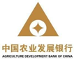 中国农业开展银行：综合报表平台